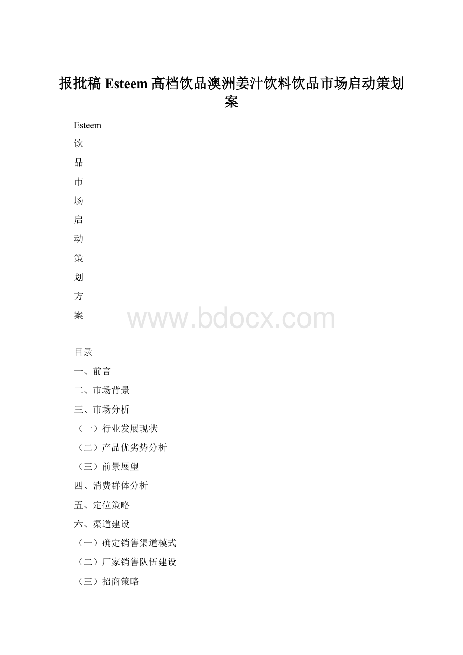 报批稿Esteem高档饮品澳洲姜汁饮料饮品市场启动策划案.docx