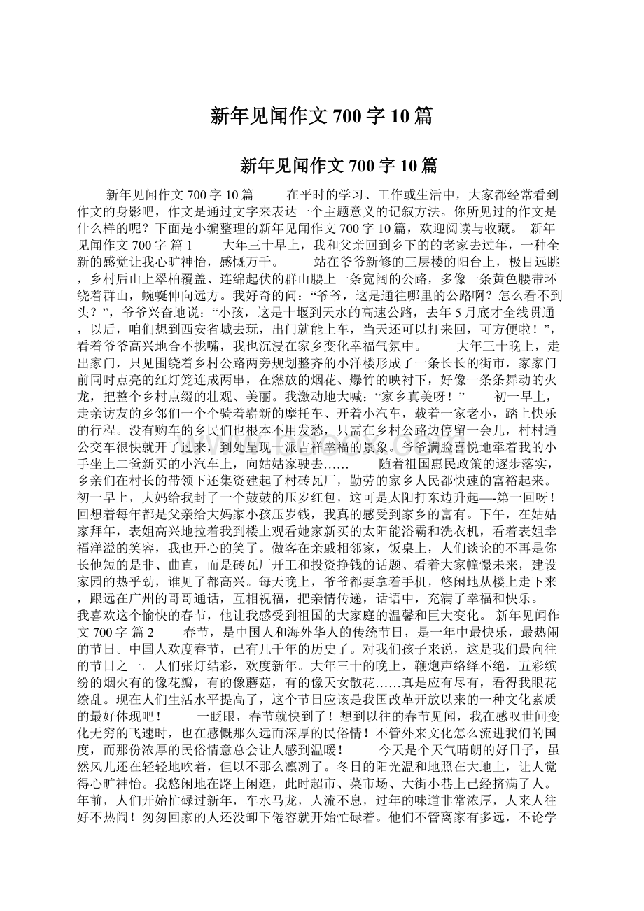 新年见闻作文700字10篇文档格式.docx_第1页