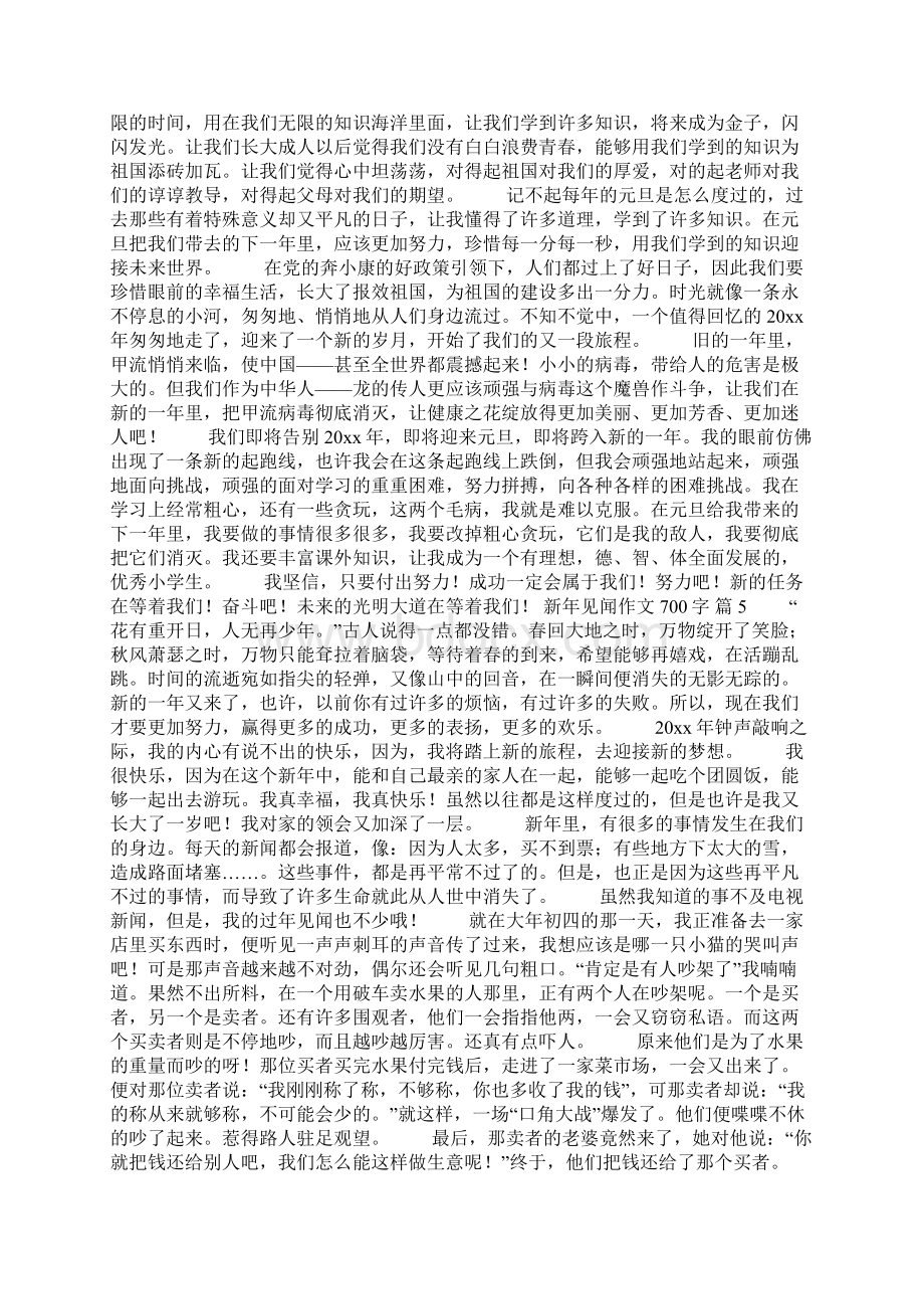 新年见闻作文700字10篇文档格式.docx_第3页