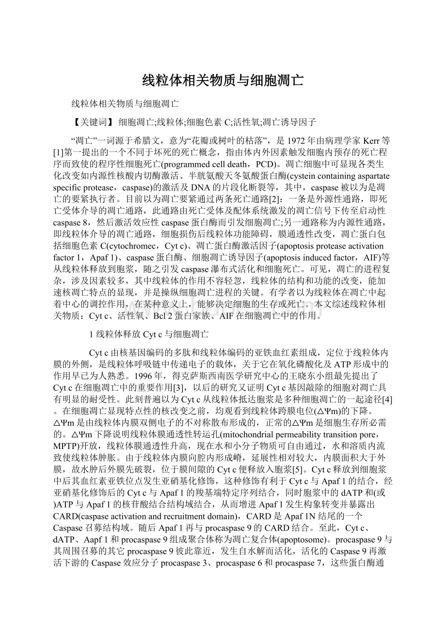 线粒体相关物质与细胞凋亡.docx_第1页