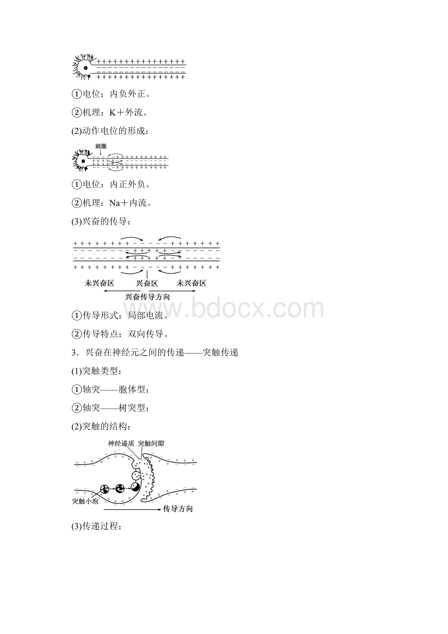 15押题专题人和动物生命活动的调节高考生物二轮复习含详细答案.docx_第2页