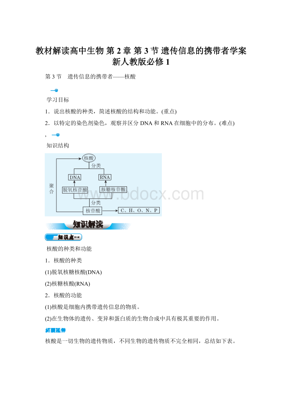 教材解读高中生物 第2章 第3节 遗传信息的携带者学案 新人教版必修1Word文档格式.docx_第1页