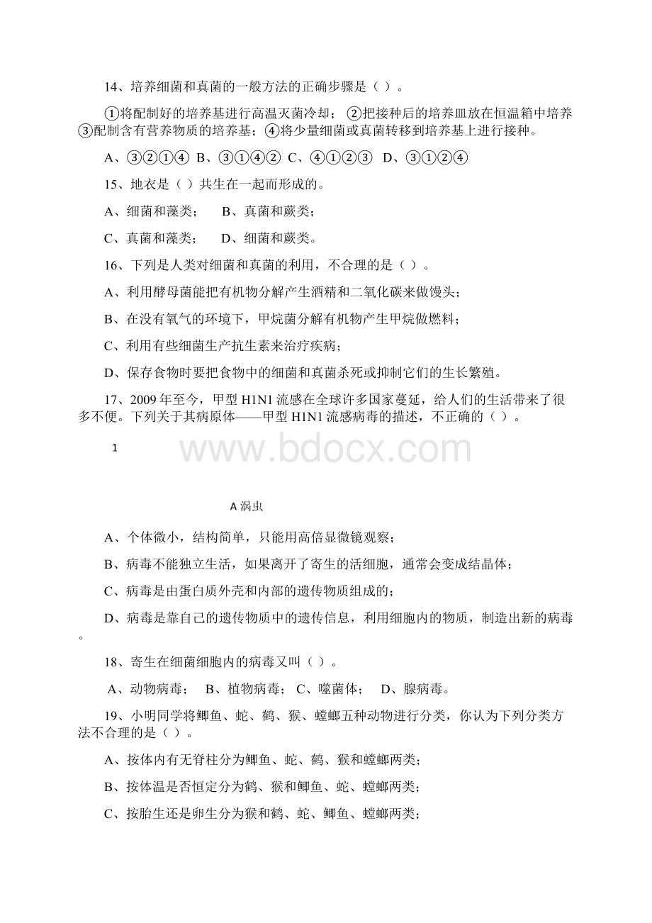 八上生物期末试题与答案Word格式.docx_第3页