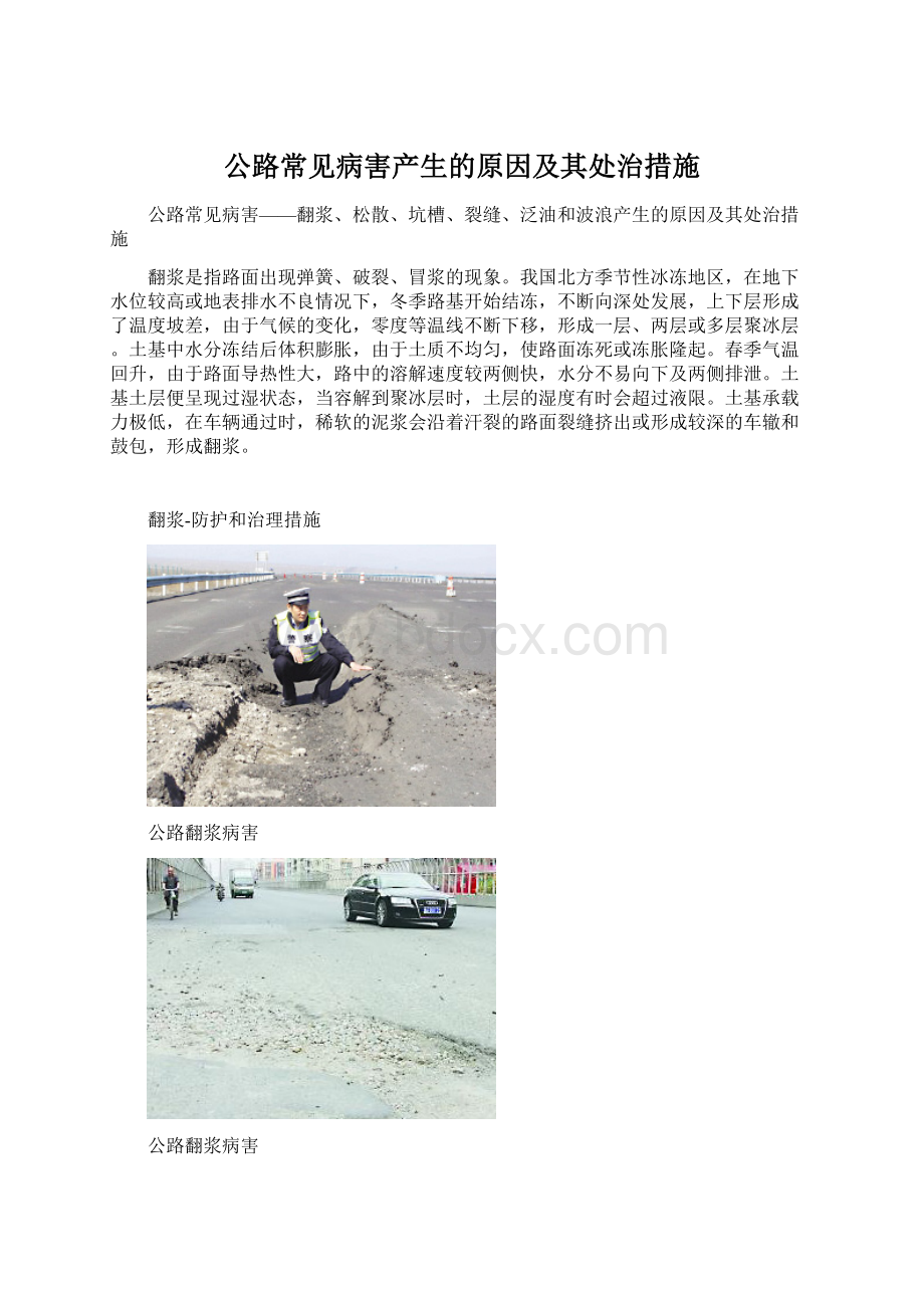 公路常见病害产生的原因及其处治措施Word文件下载.docx_第1页