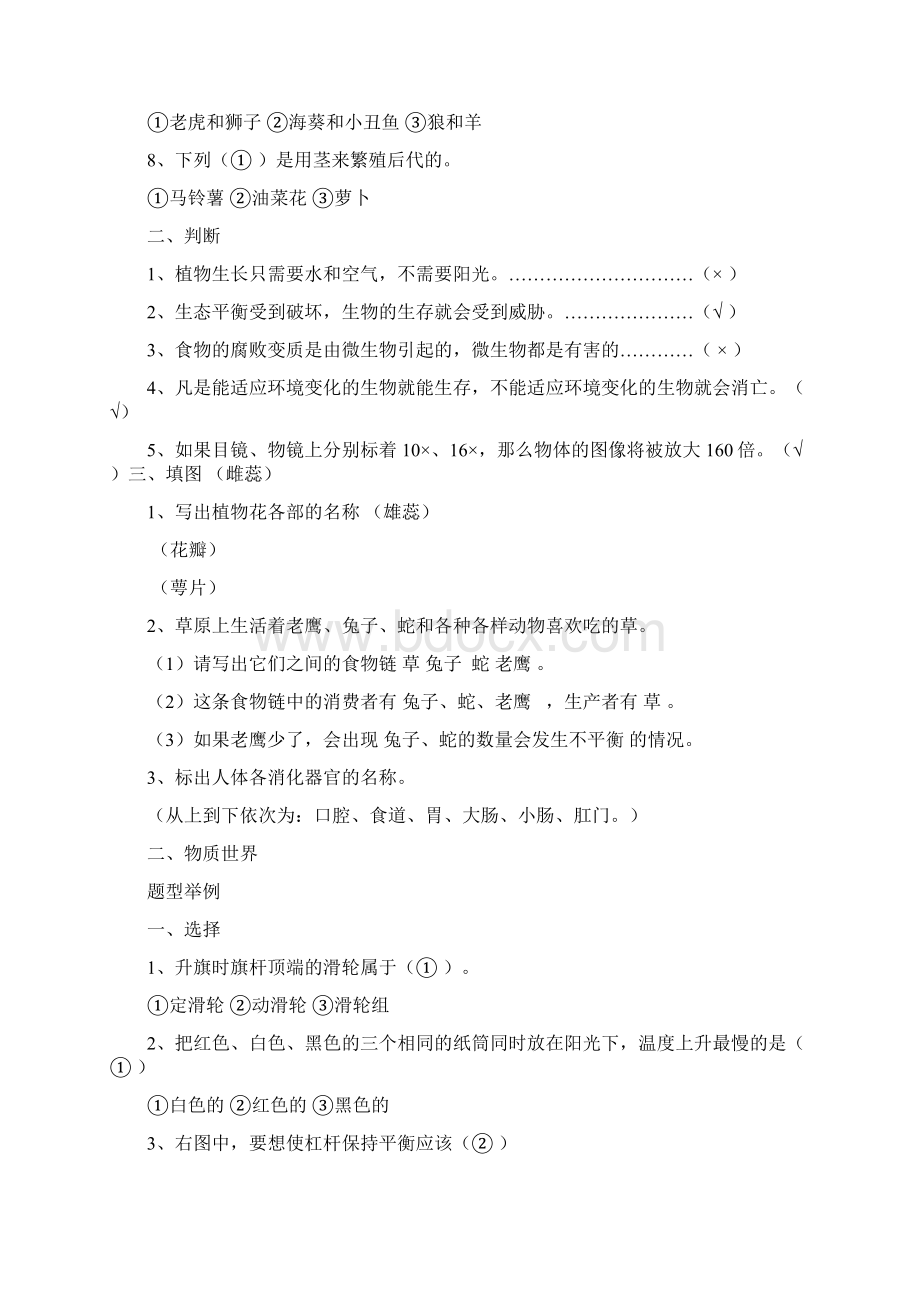 六年级科学复习题有答案Word格式.docx_第2页