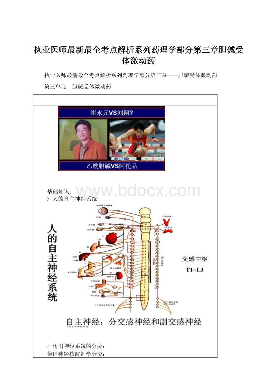 执业医师最新最全考点解析系列药理学部分第三章胆碱受体激动药.docx_第1页