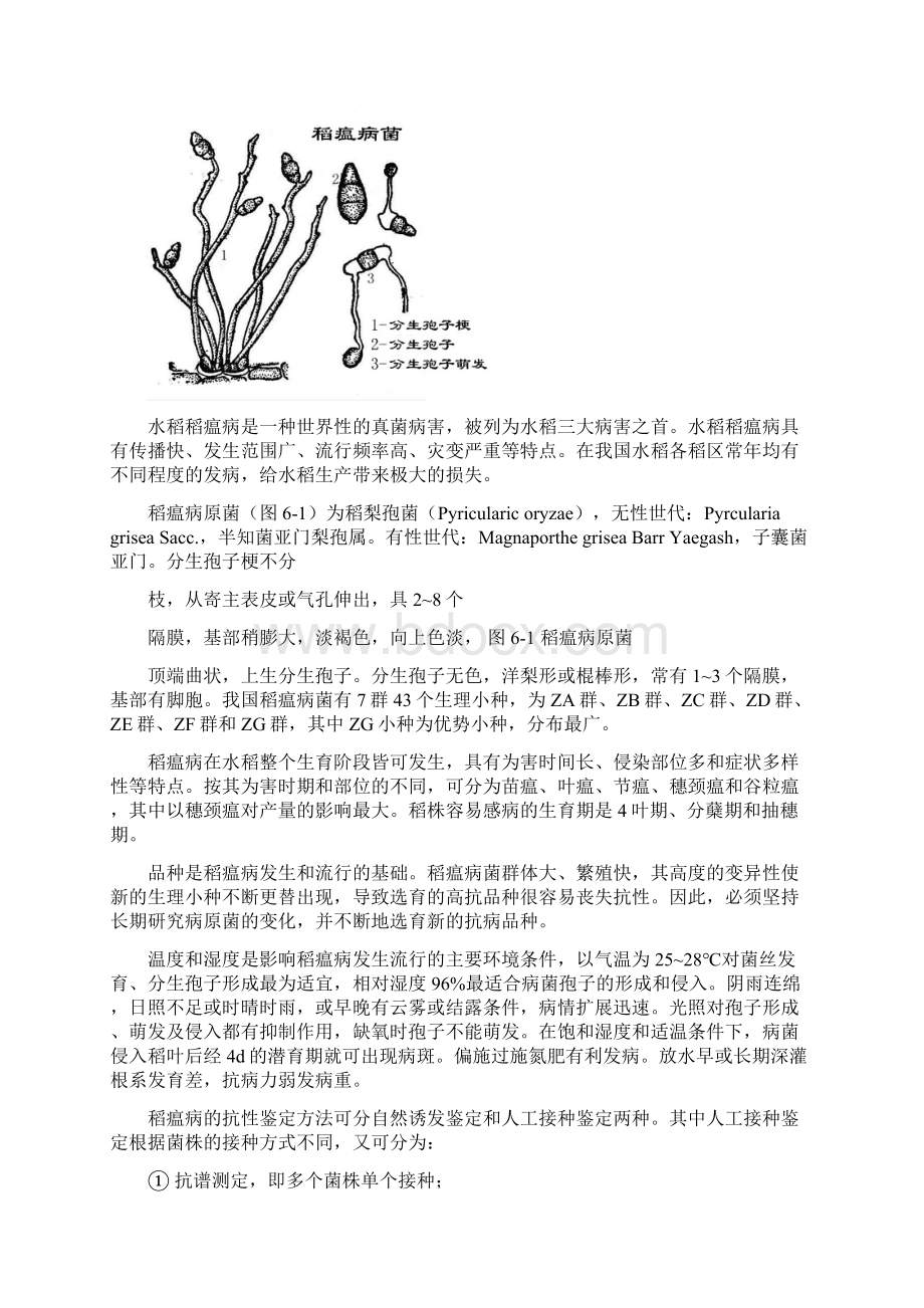 《作物抗病性鉴定》word版参考模板Word文档下载推荐.docx_第2页