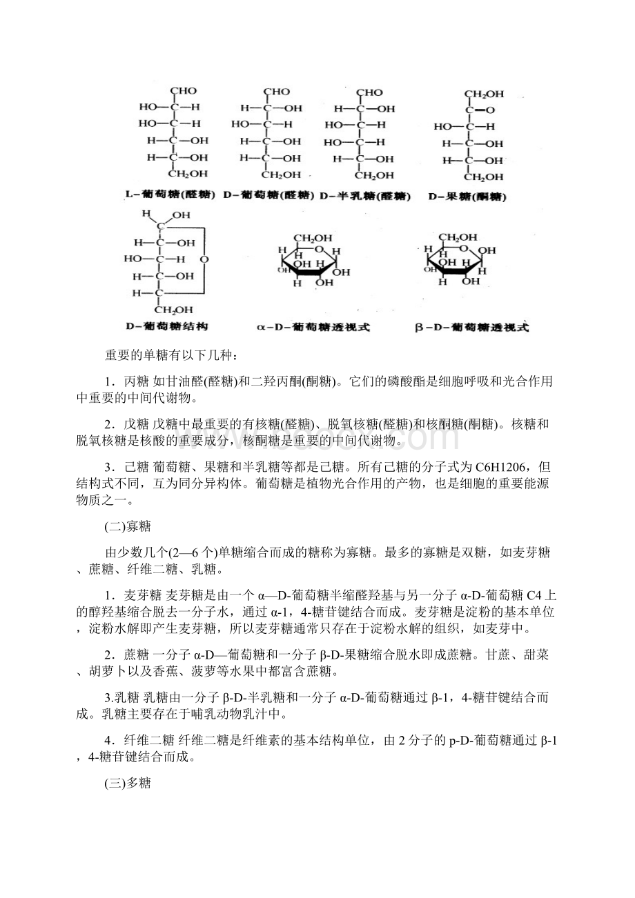 高中生物竞赛辅导资料第1章细胞生物学Word下载.docx_第3页