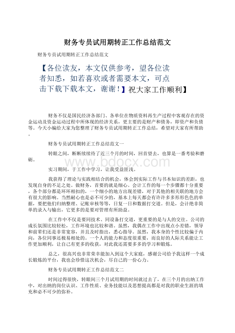 财务专员试用期转正工作总结范文.docx_第1页