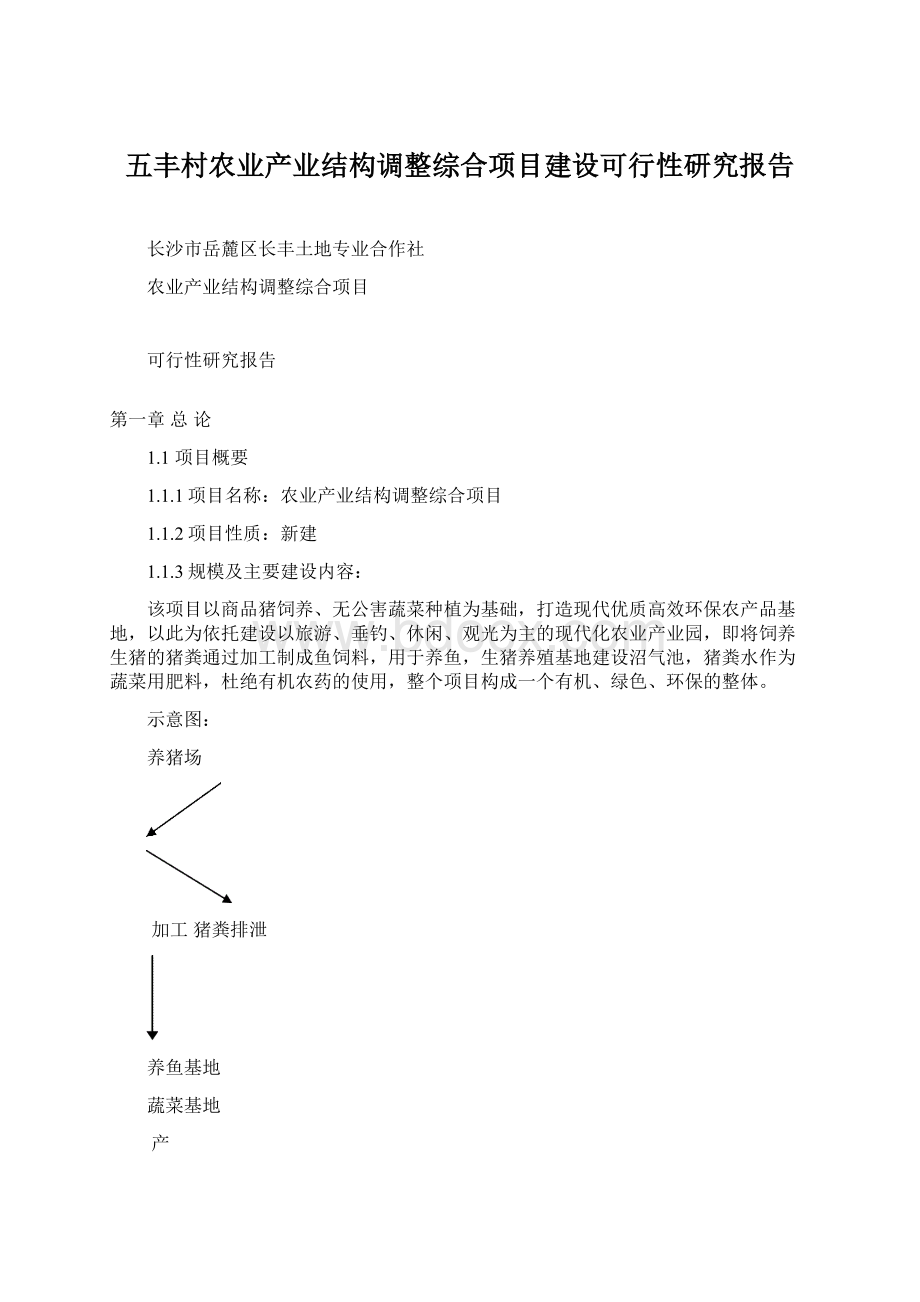 五丰村农业产业结构调整综合项目建设可行性研究报告文档格式.docx