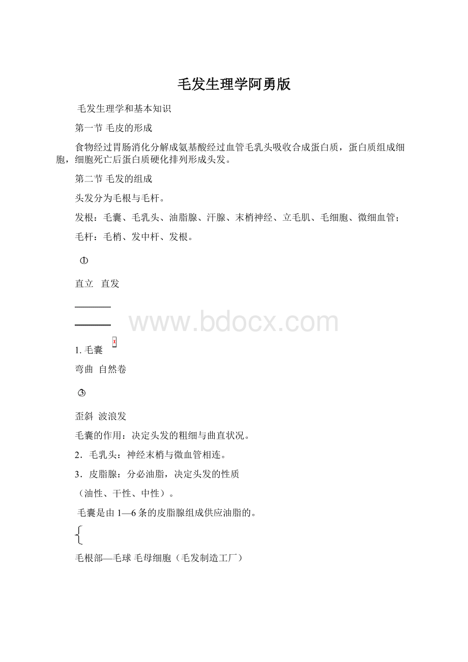 毛发生理学阿勇版.docx