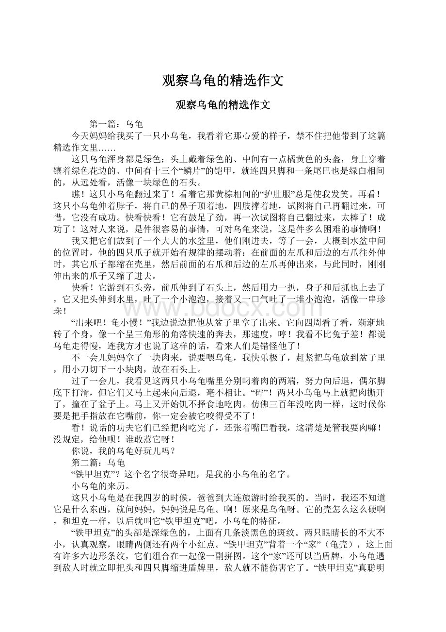 观察乌龟的精选作文.docx_第1页