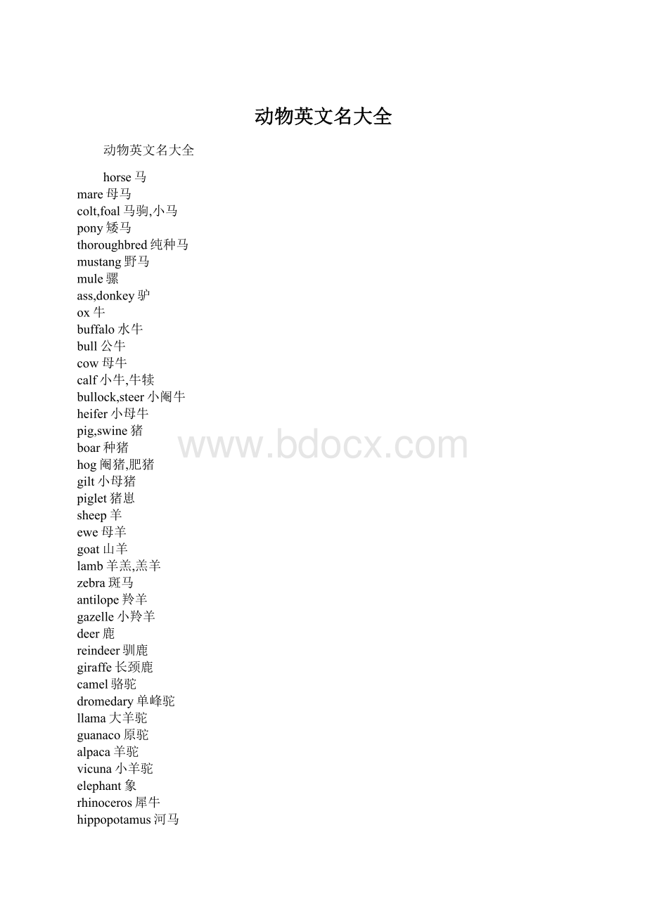 动物英文名大全Word文件下载.docx