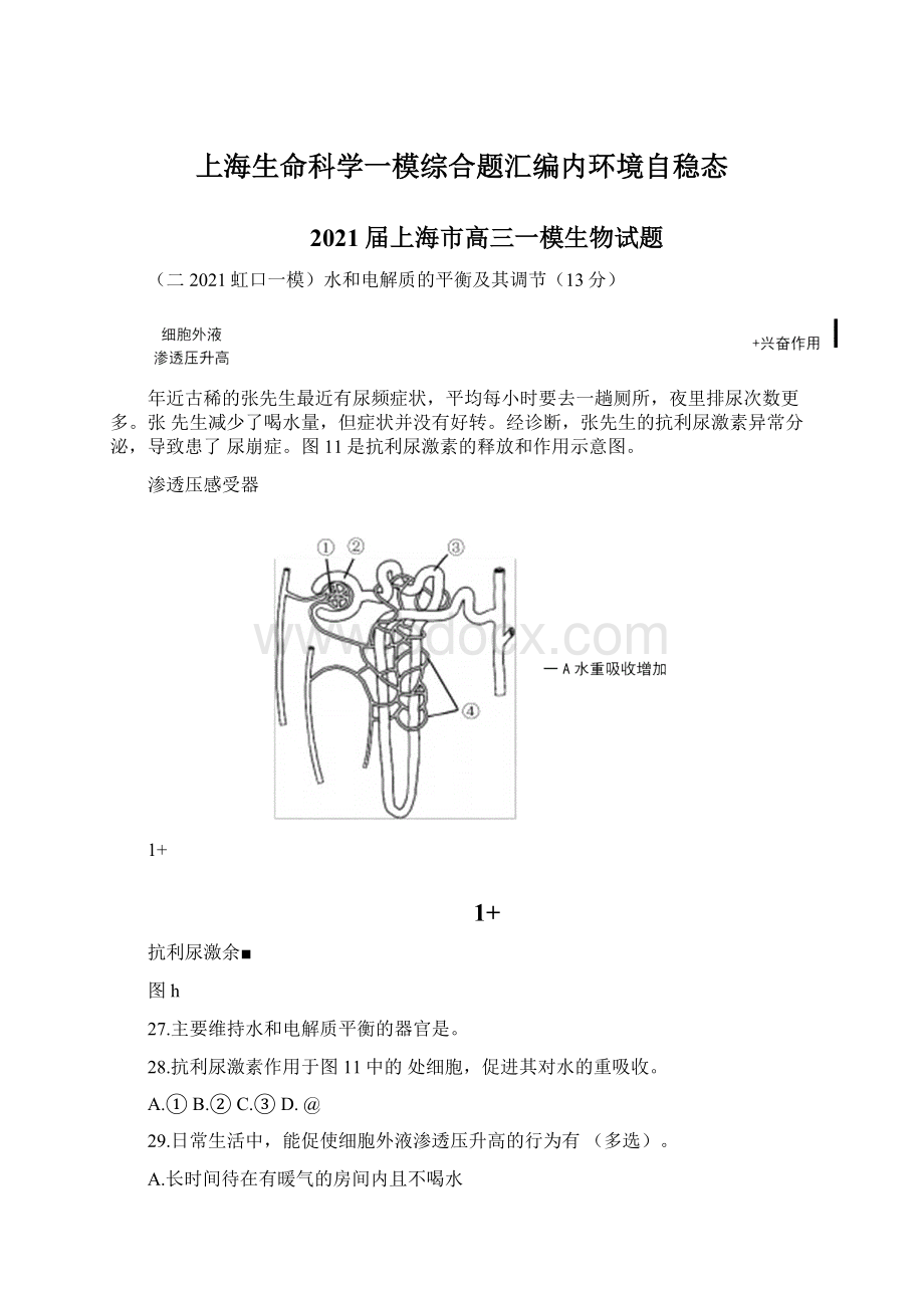 上海生命科学一模综合题汇编内环境自稳态.docx_第1页