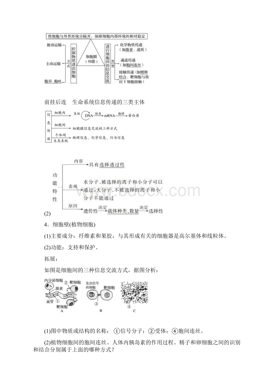 高三生物核心素养教案第二单元 第4讲 细胞膜与细胞核Word文件下载.docx_第3页