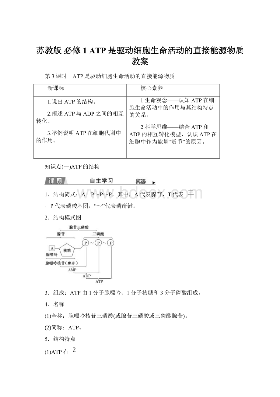 苏教版 必修1 ATP是驱动细胞生命活动的直接能源物质 教案.docx