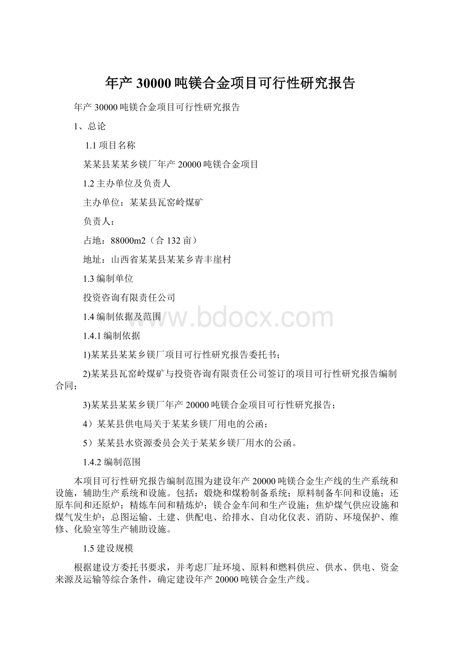 年产30000吨镁合金项目可行性研究报告.docx_第1页