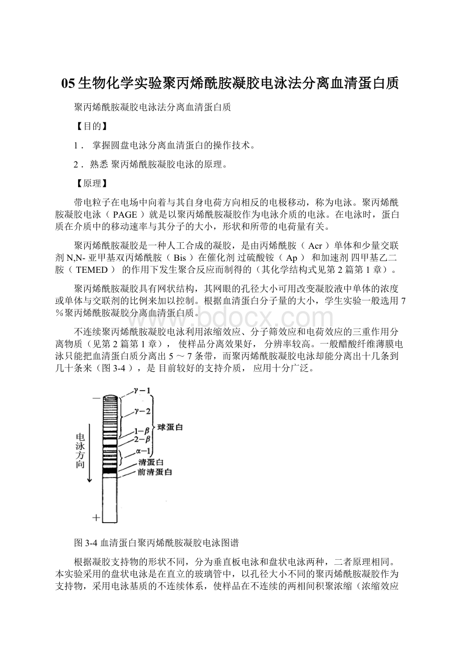 05生物化学实验聚丙烯酰胺凝胶电泳法分离血清蛋白质.docx