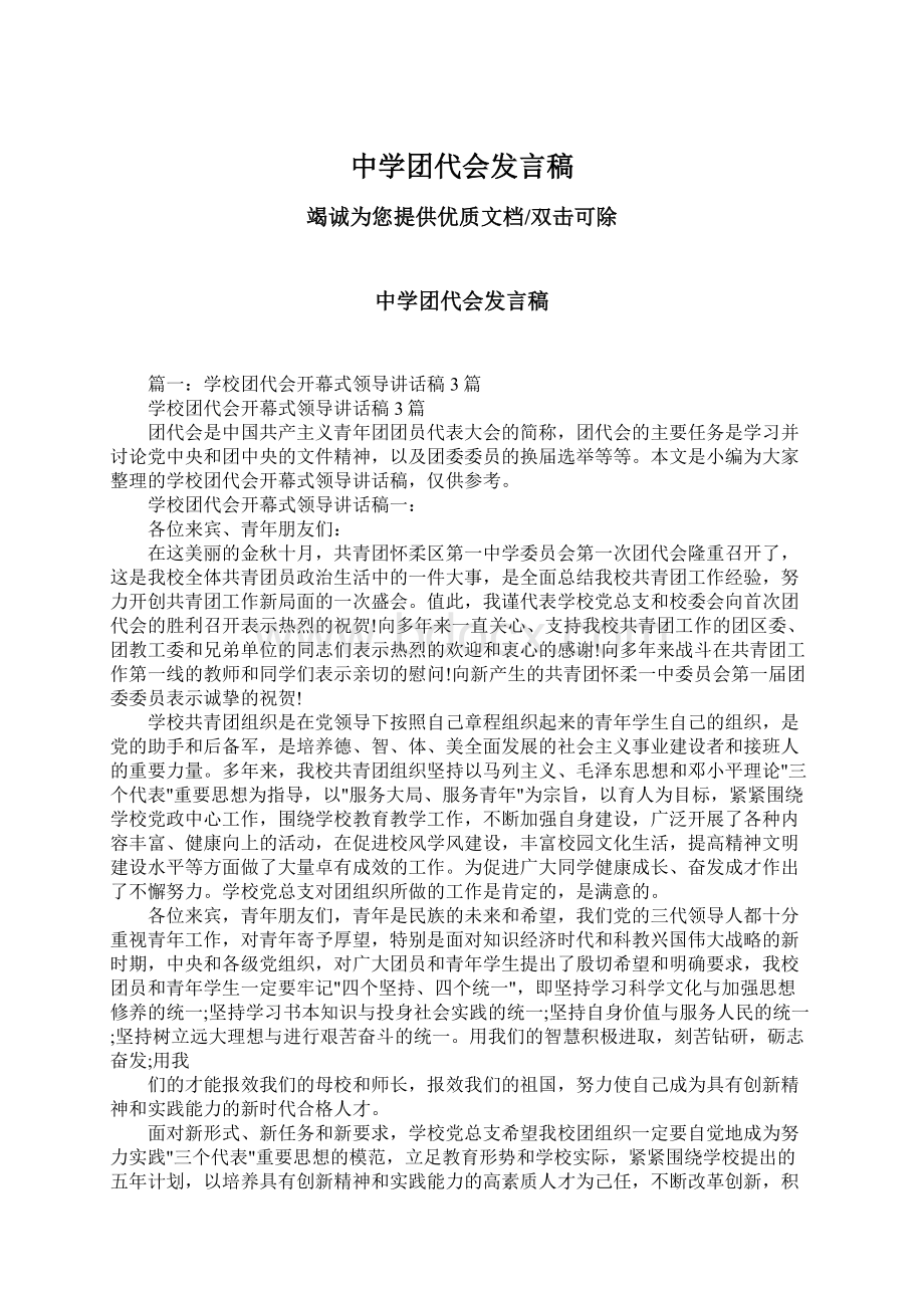 中学团代会发言稿Word格式文档下载.docx