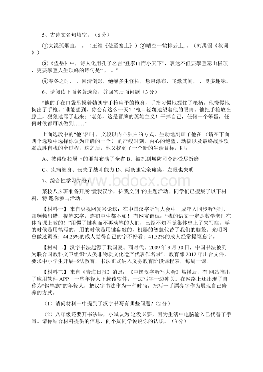 山东省齐河县实验中学届九年级分班选拔考试语文试题Word文档格式.docx_第2页