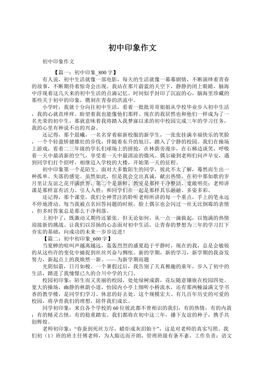 初中印象作文Word文件下载.docx_第1页