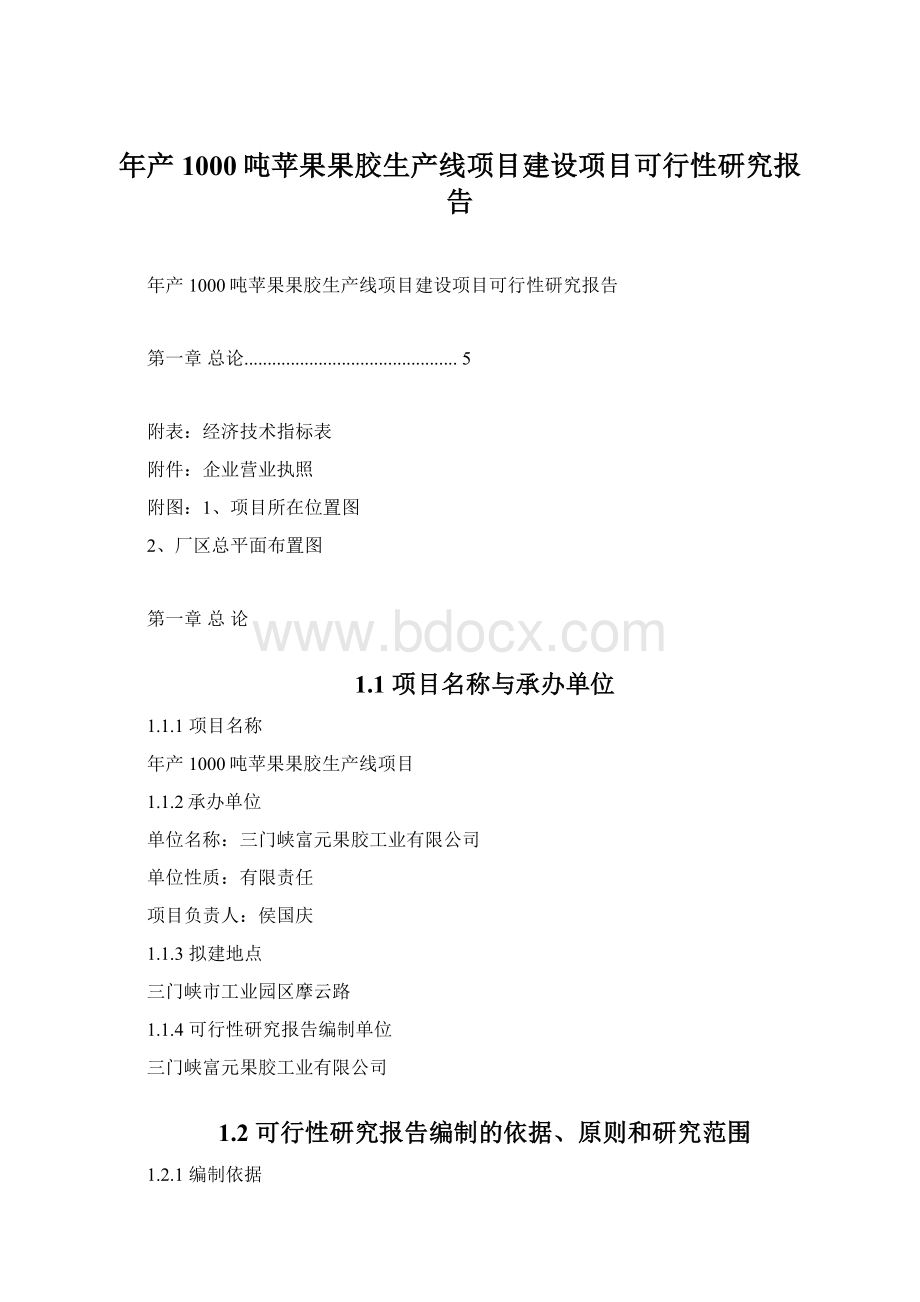 年产1000吨苹果果胶生产线项目建设项目可行性研究报告.docx_第1页