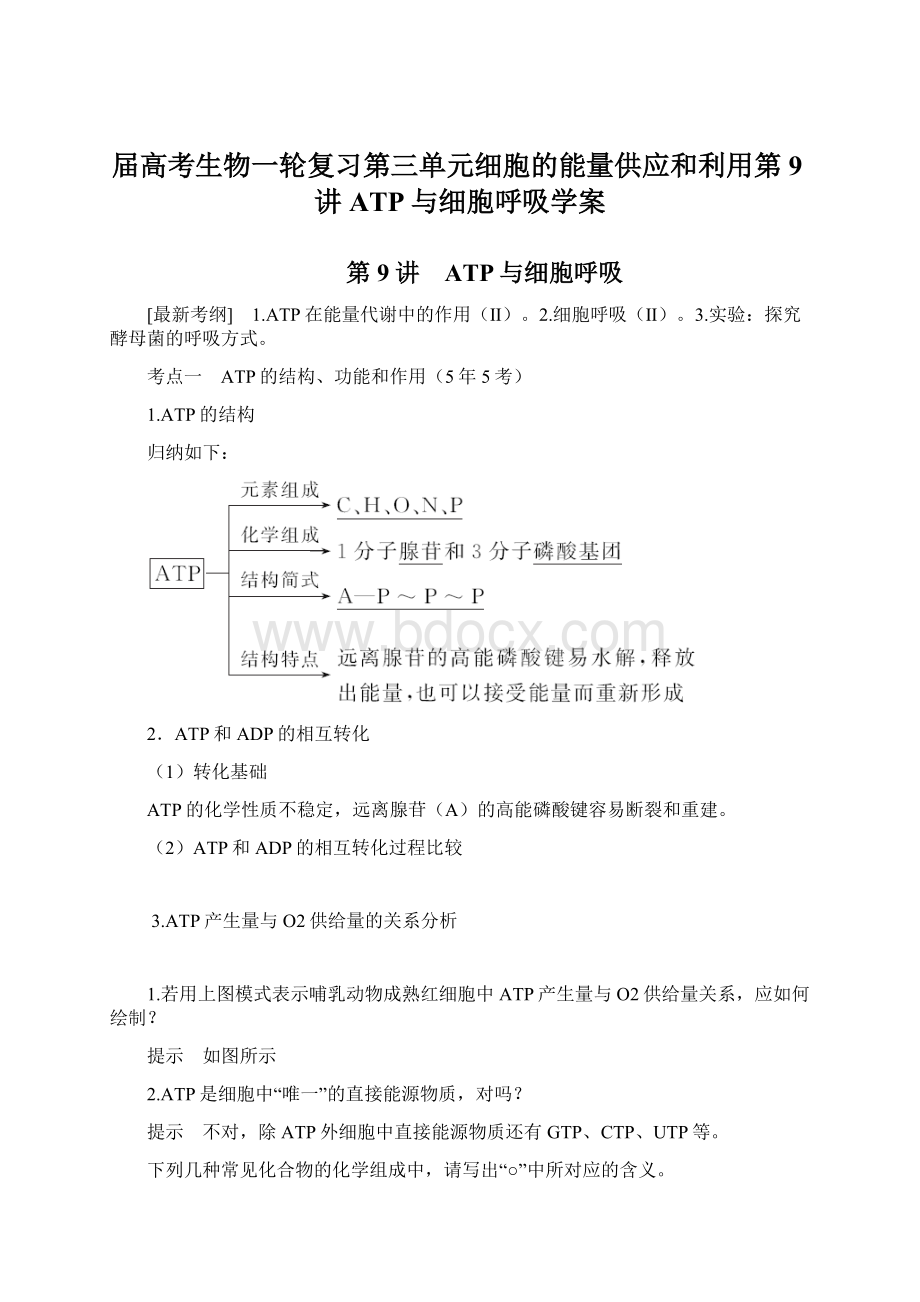 届高考生物一轮复习第三单元细胞的能量供应和利用第9讲ATP与细胞呼吸学案文档格式.docx_第1页