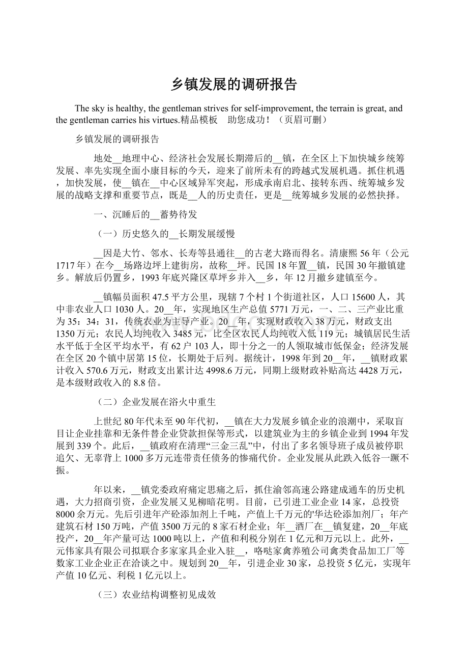 乡镇发展的调研报告文档格式.docx