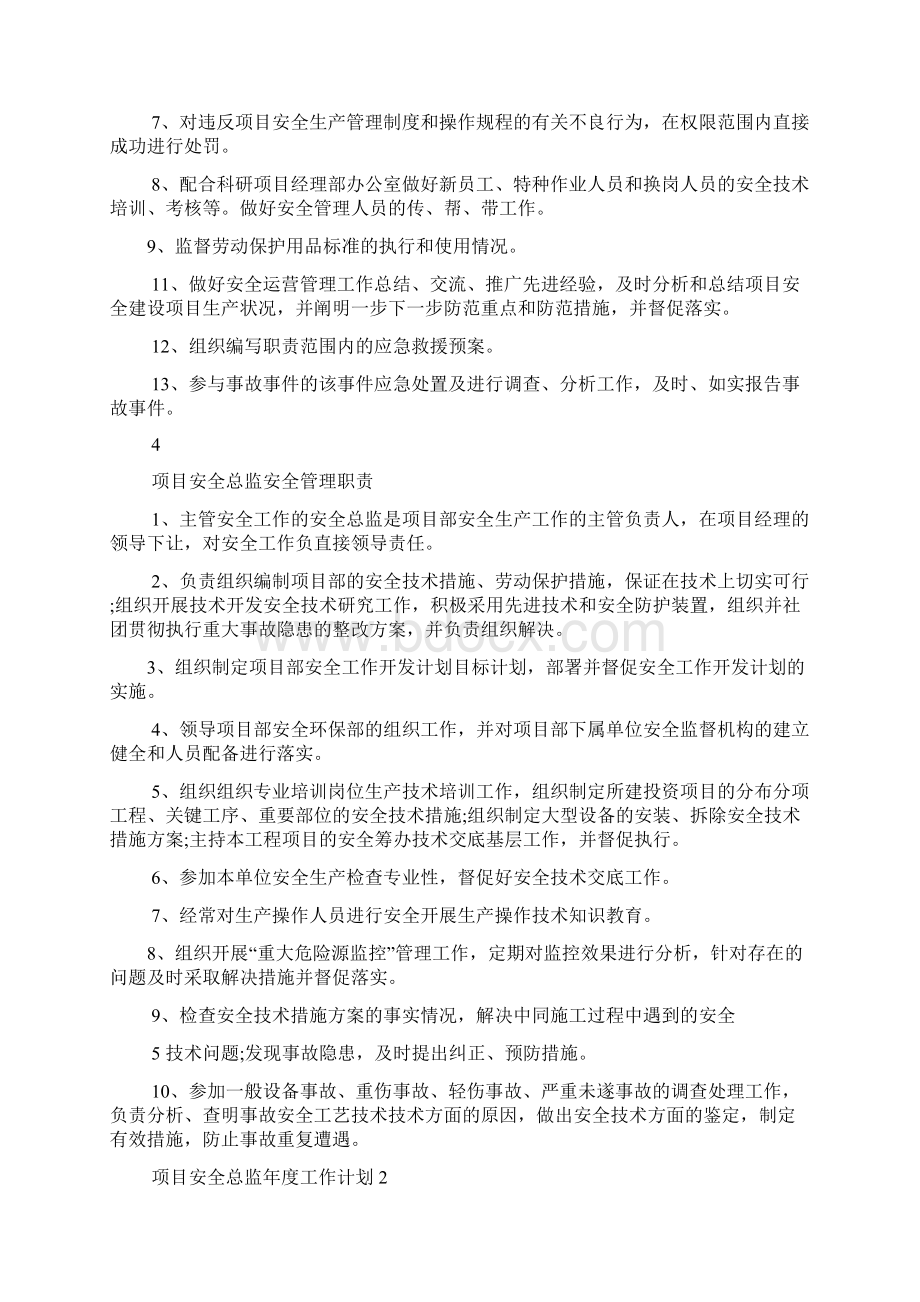 项目安全总监年度工作计划.docx_第3页