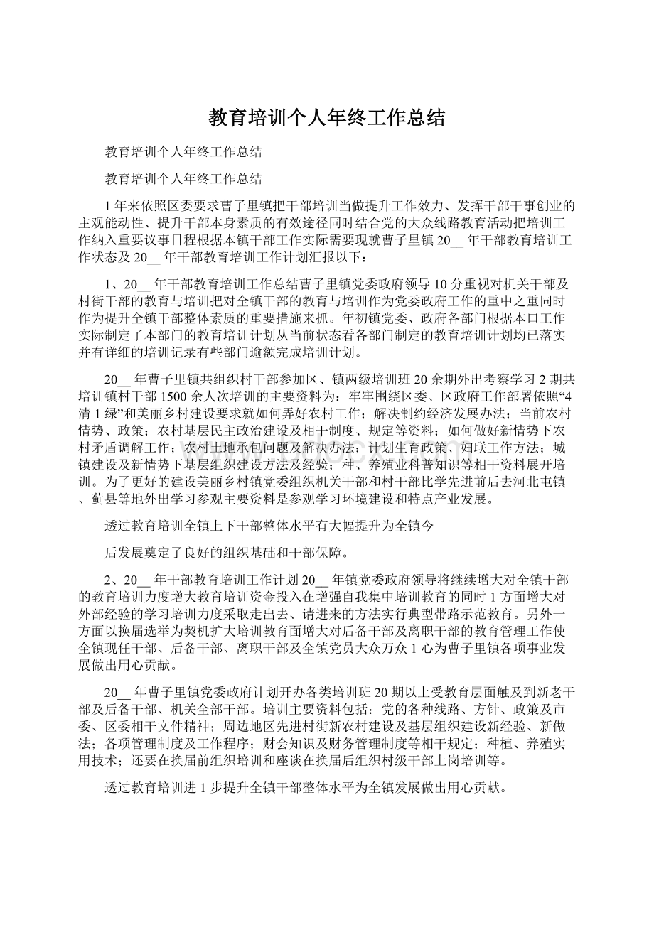 教育培训个人年终工作总结文档格式.docx