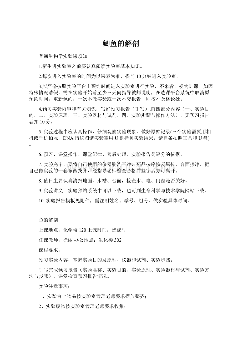 鲫鱼的解剖.docx