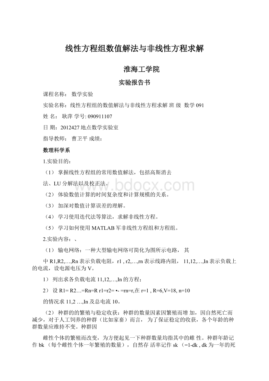 线性方程组数值解法与非线性方程求解文档格式.docx_第1页