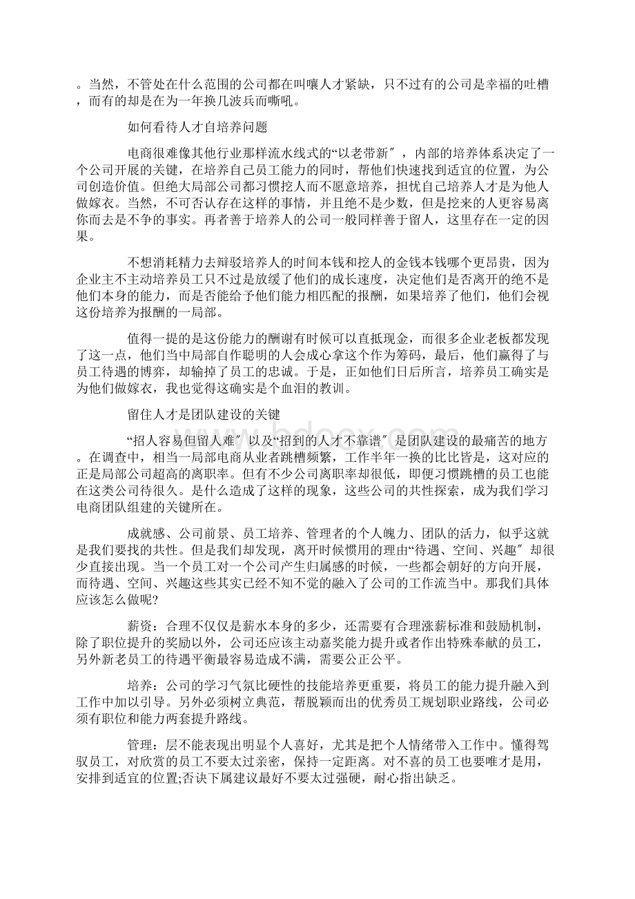 电子商务团队建设方案精选.docx_第2页