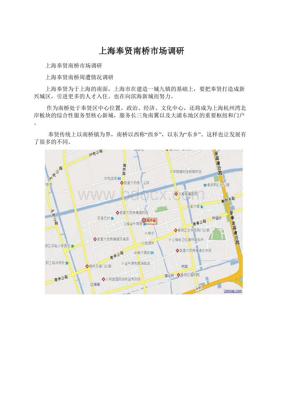 上海奉贤南桥市场调研Word文档格式.docx