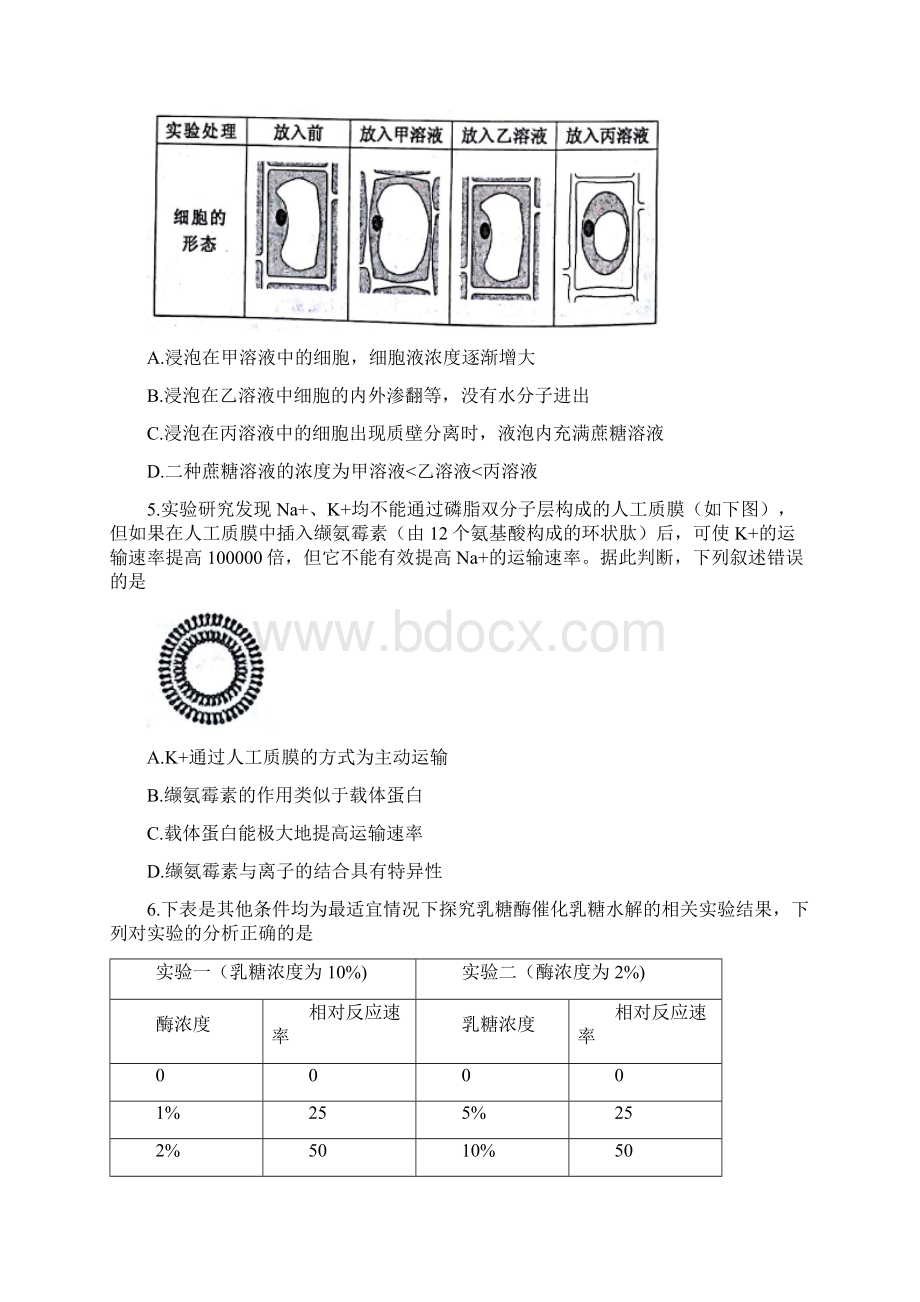 天津市红桥区届高三上学期期中考试生物试题 Word版含答案Word文档下载推荐.docx_第2页