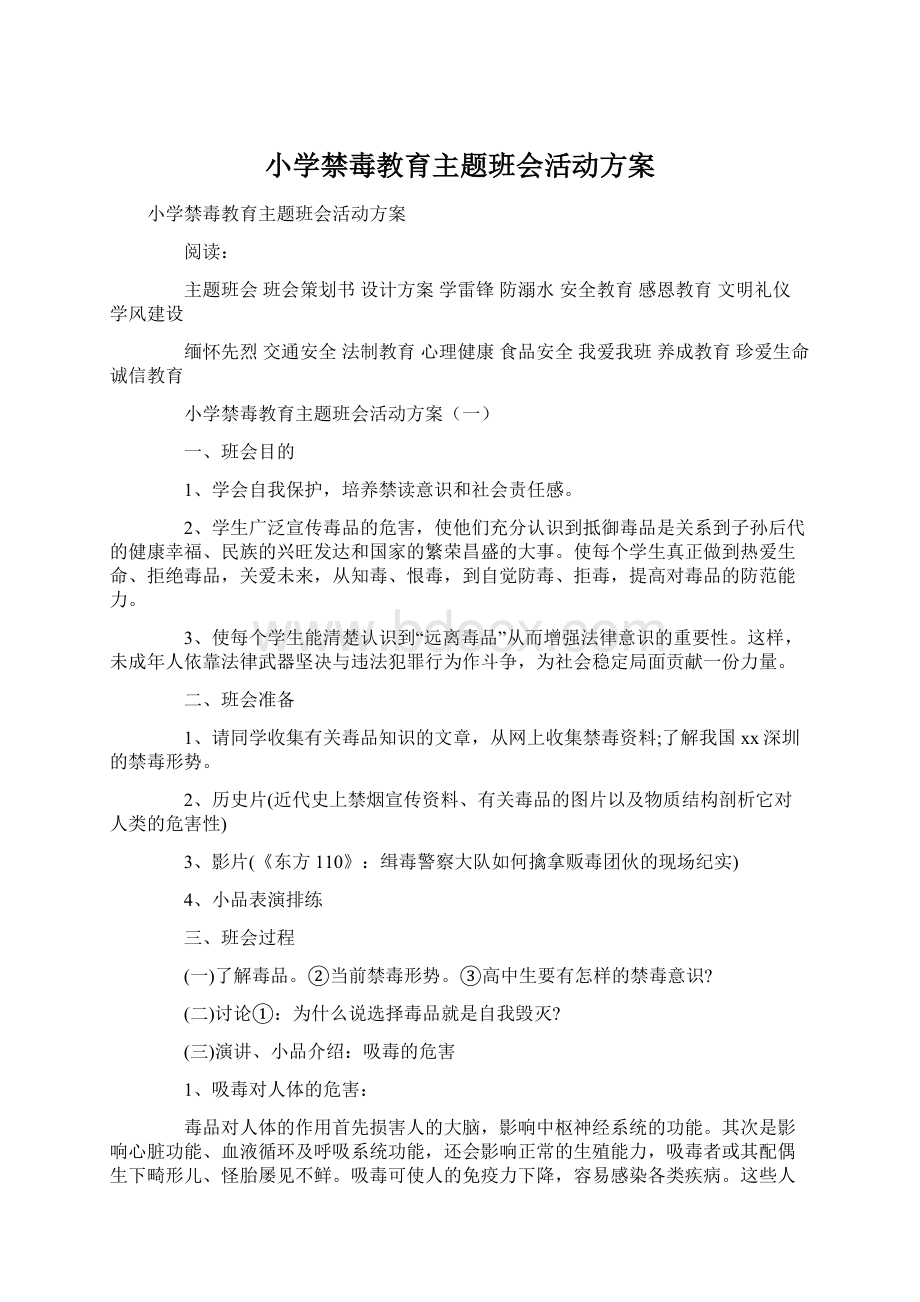 小学禁毒教育主题班会活动方案文档格式.docx