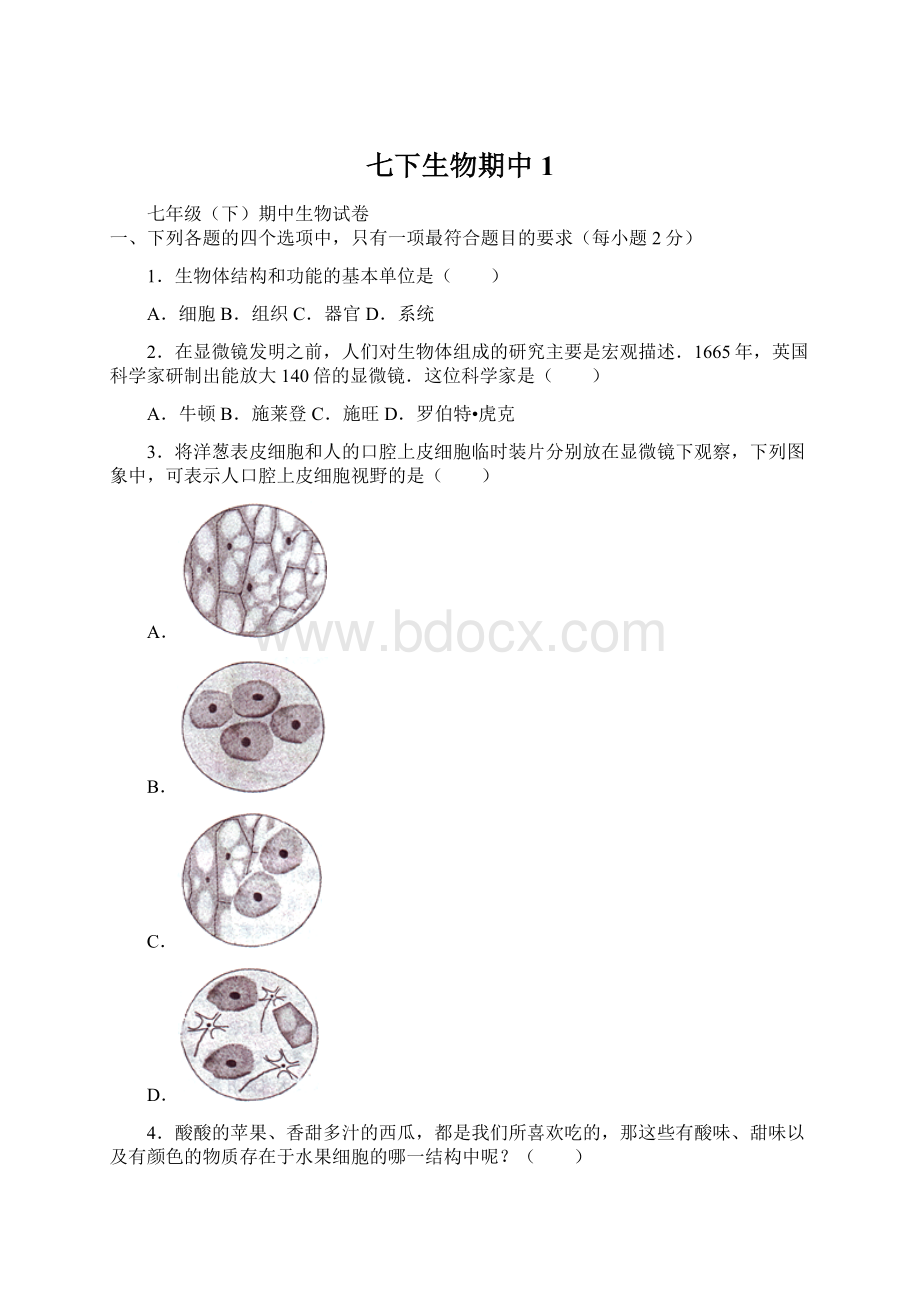 七下生物期中1Word文档格式.docx