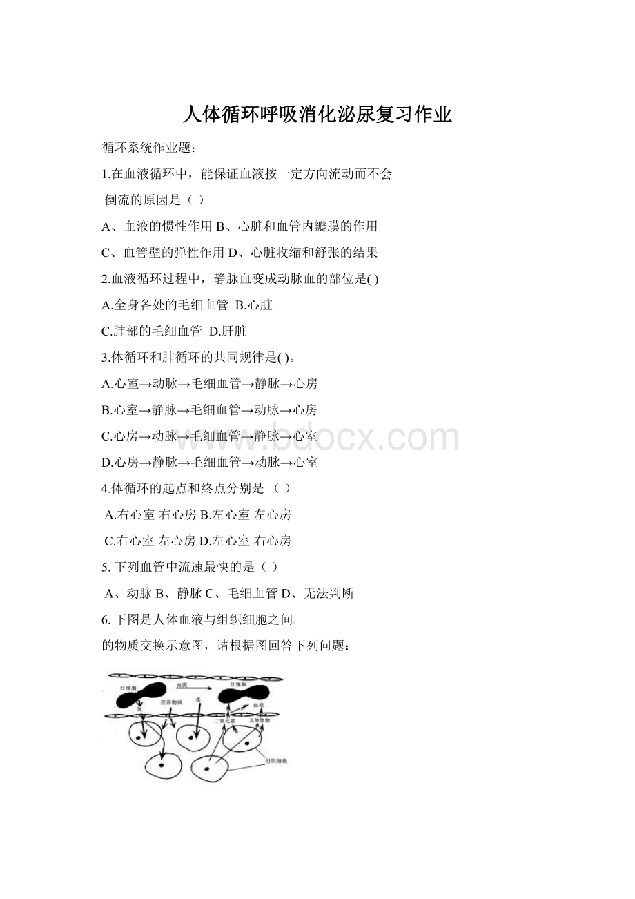 人体循环呼吸消化泌尿复习作业.docx