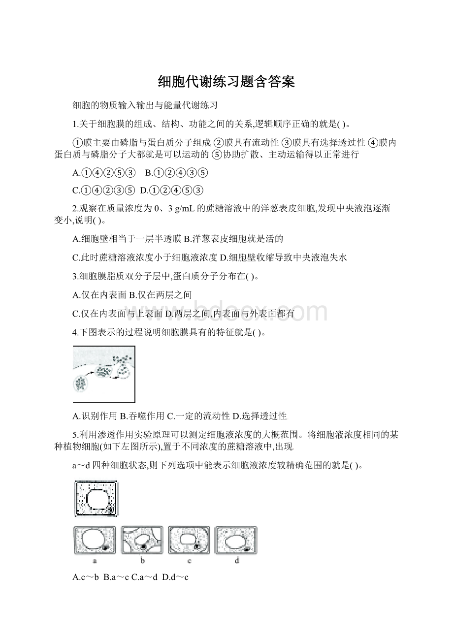 细胞代谢练习题含答案.docx