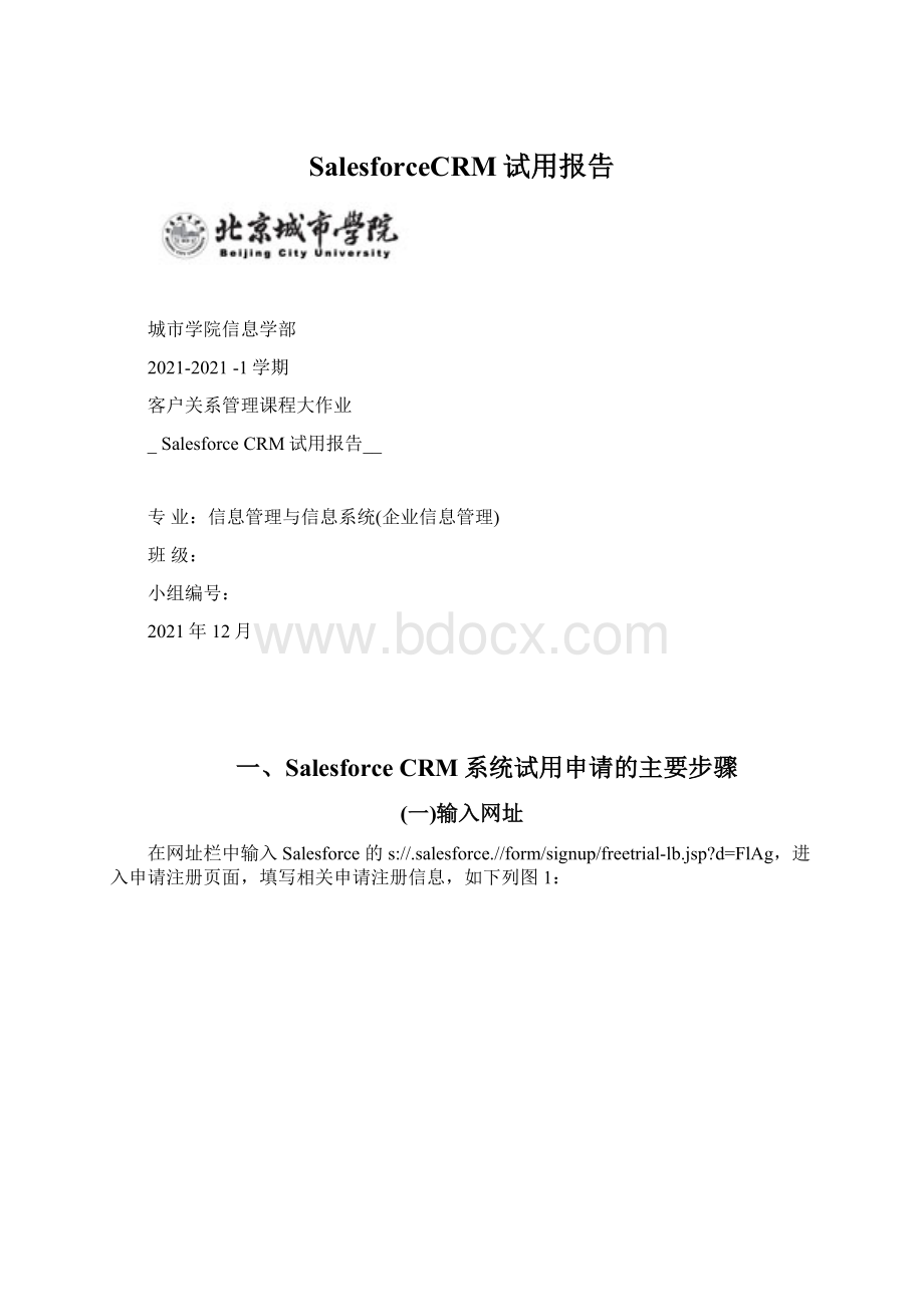 SalesforceCRM试用报告Word文件下载.docx