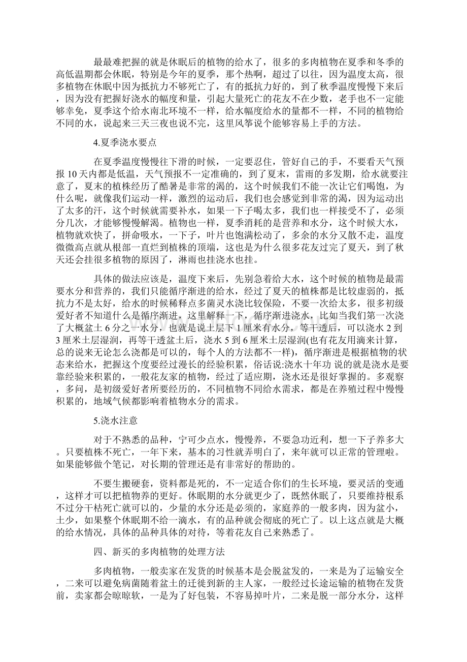 多肉植物怎么养超详细Word格式.docx_第3页