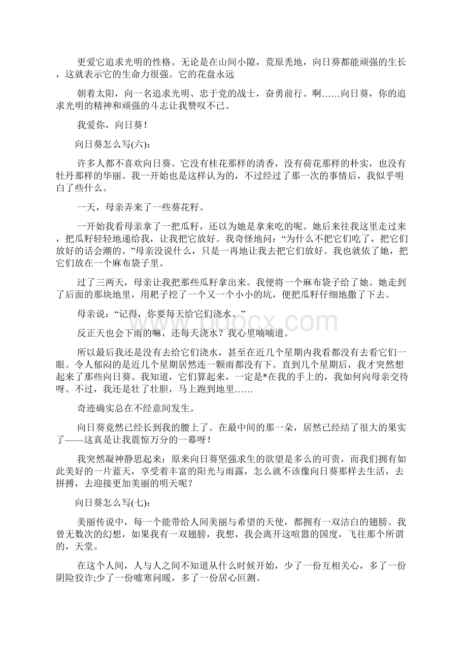 实用向日葵怎么写35篇Word文档格式.docx_第3页