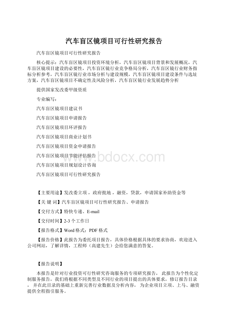 汽车盲区镜项目可行性研究报告Word格式.docx