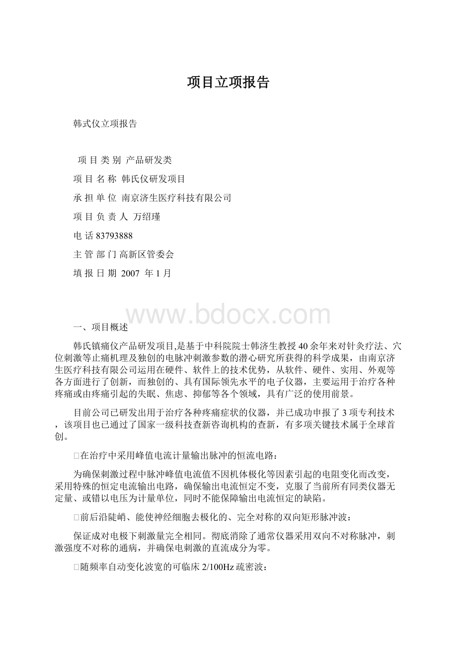 项目立项报告文档格式.docx