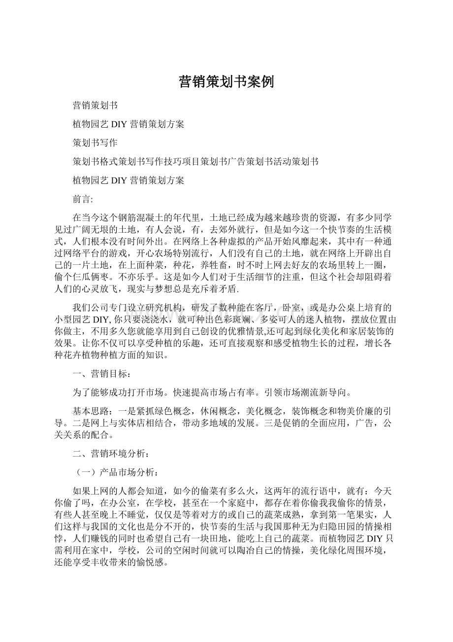 营销策划书案例Word格式文档下载.docx