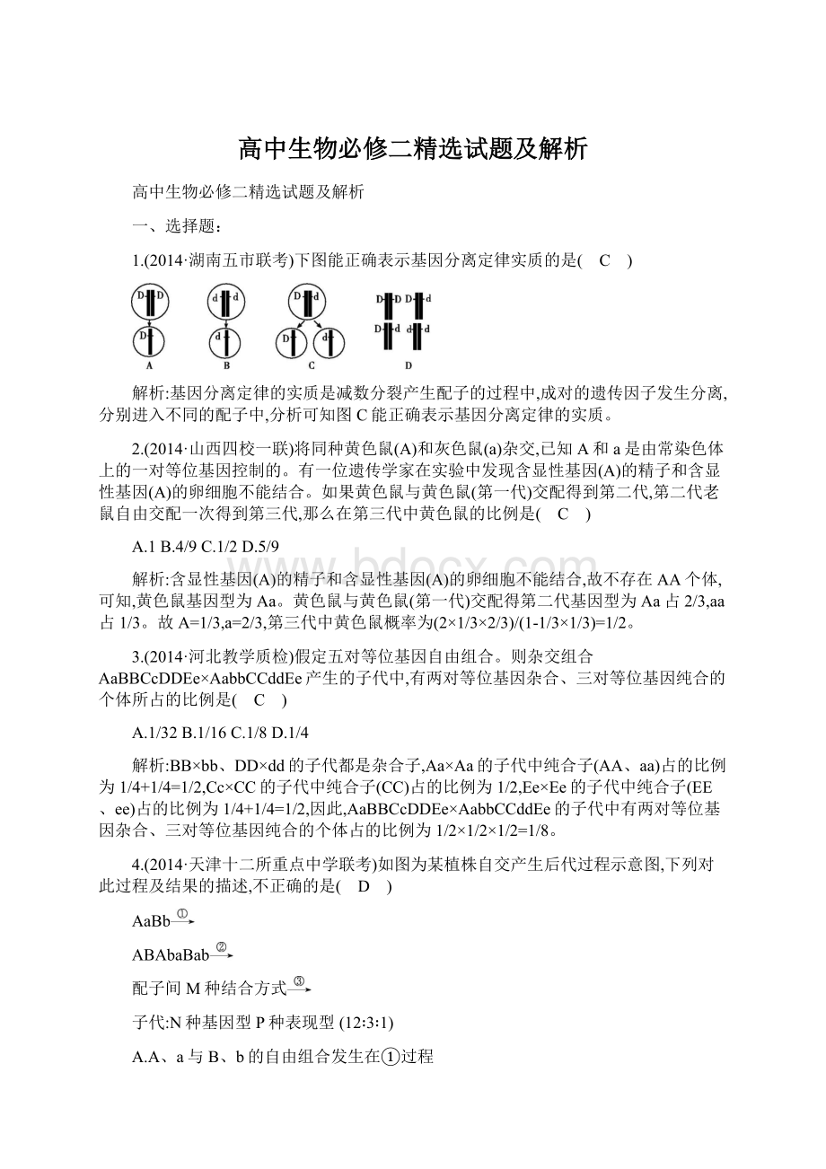 高中生物必修二精选试题及解析Word格式文档下载.docx