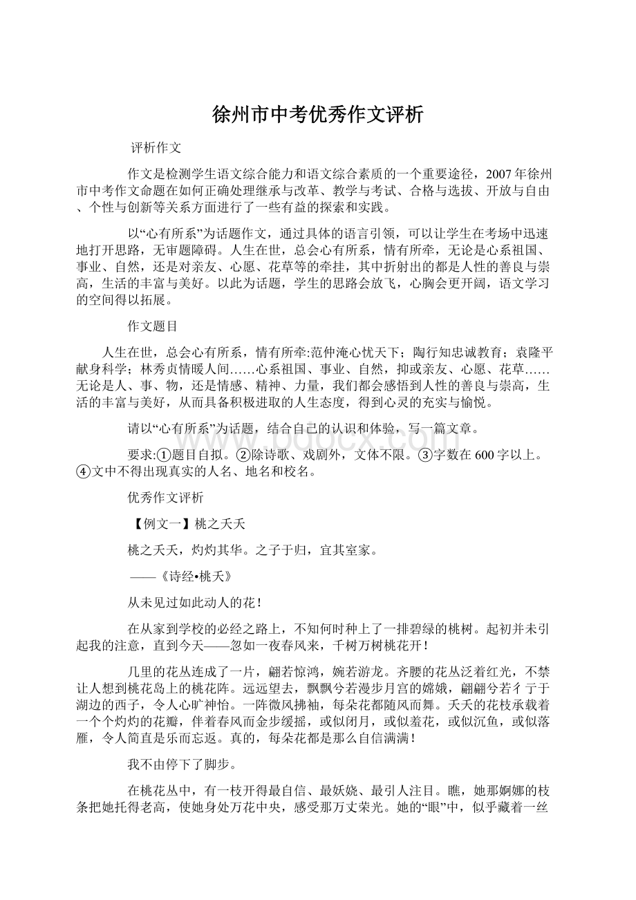 徐州市中考优秀作文评析Word文档格式.docx