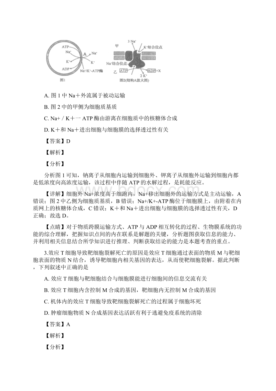 黑龙江省齐齐哈尔市届高三下学期第一次模拟考试理科综合生物试题Word文档格式.docx_第2页