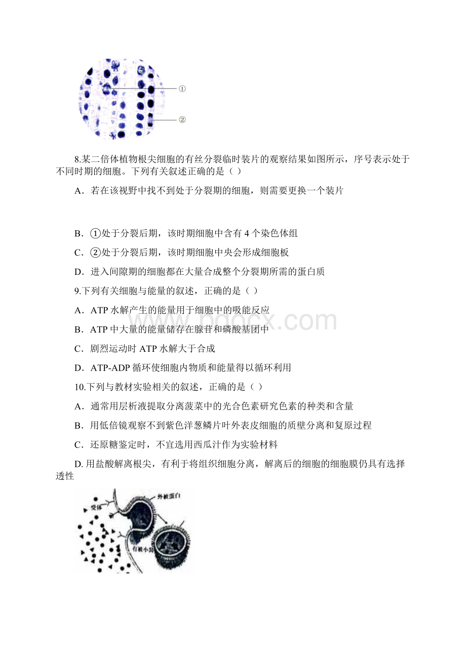 学年浙江省慈溪市三山高级中学等六校高二上学期期中联考生物试题文档格式.docx_第3页