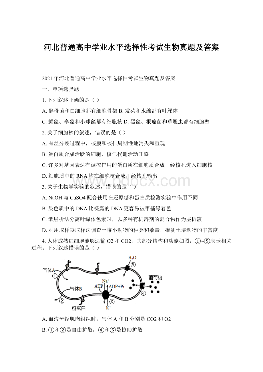 河北普通高中学业水平选择性考试生物真题及答案Word文档格式.docx_第1页